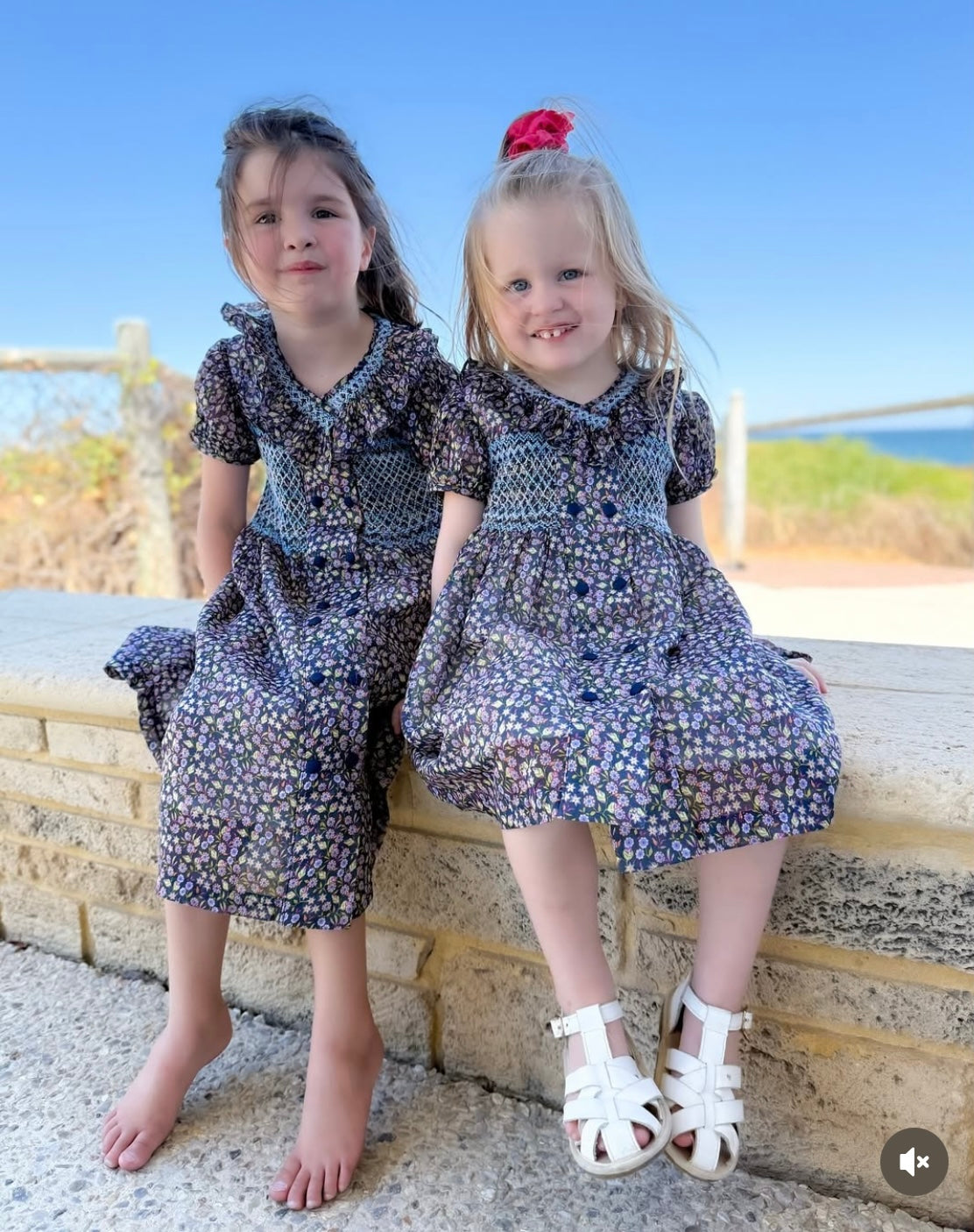 Twilight Petals Smocked Dress