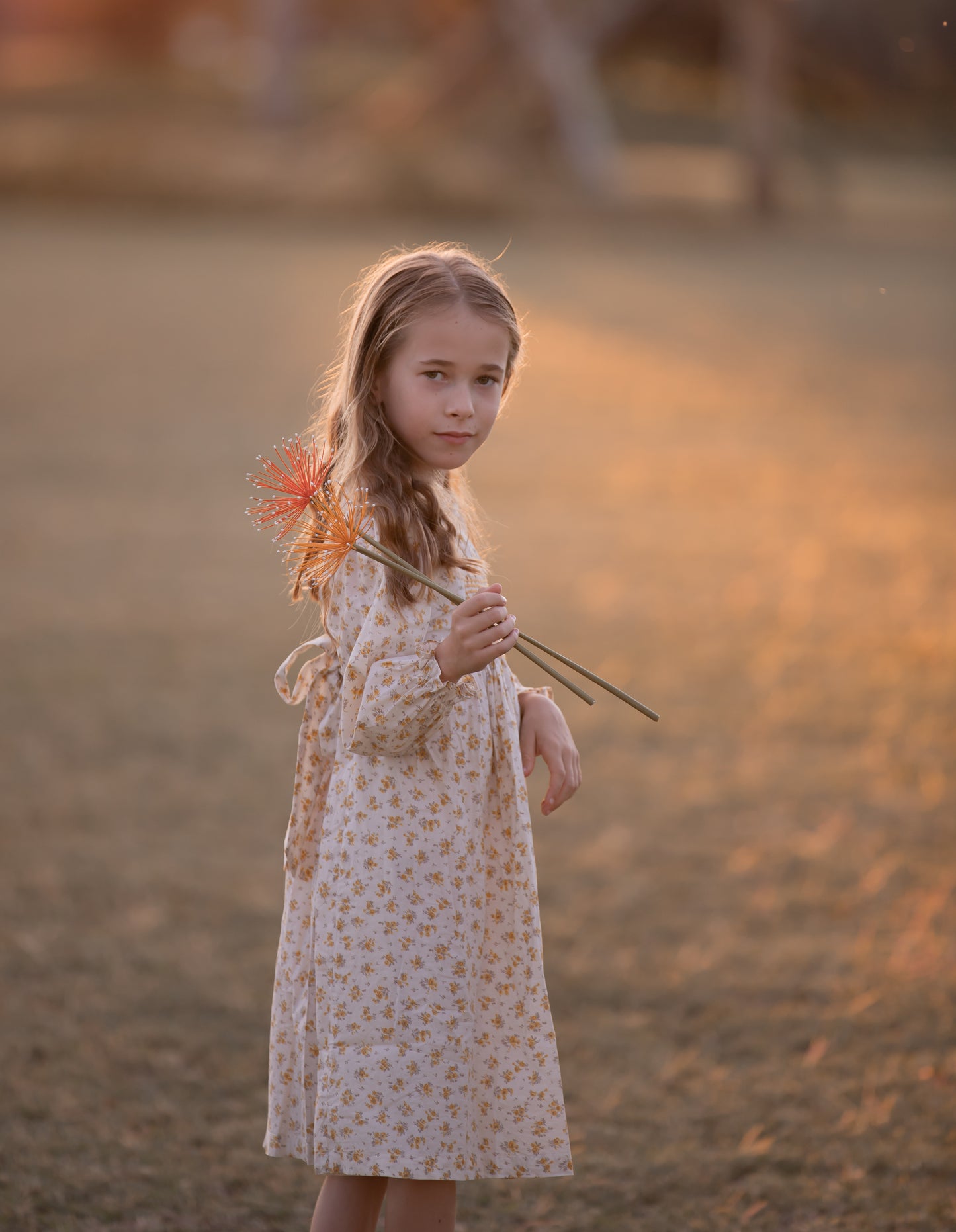 Autumn Breeze Smocked Dress