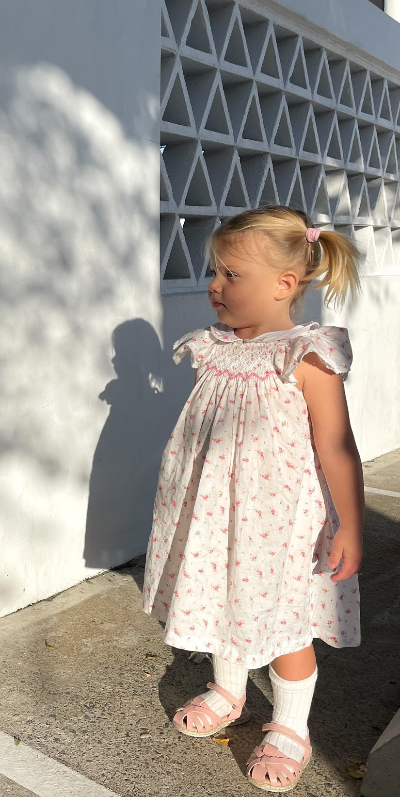 Bishop Smocked Dress with Fluttery Sleeves