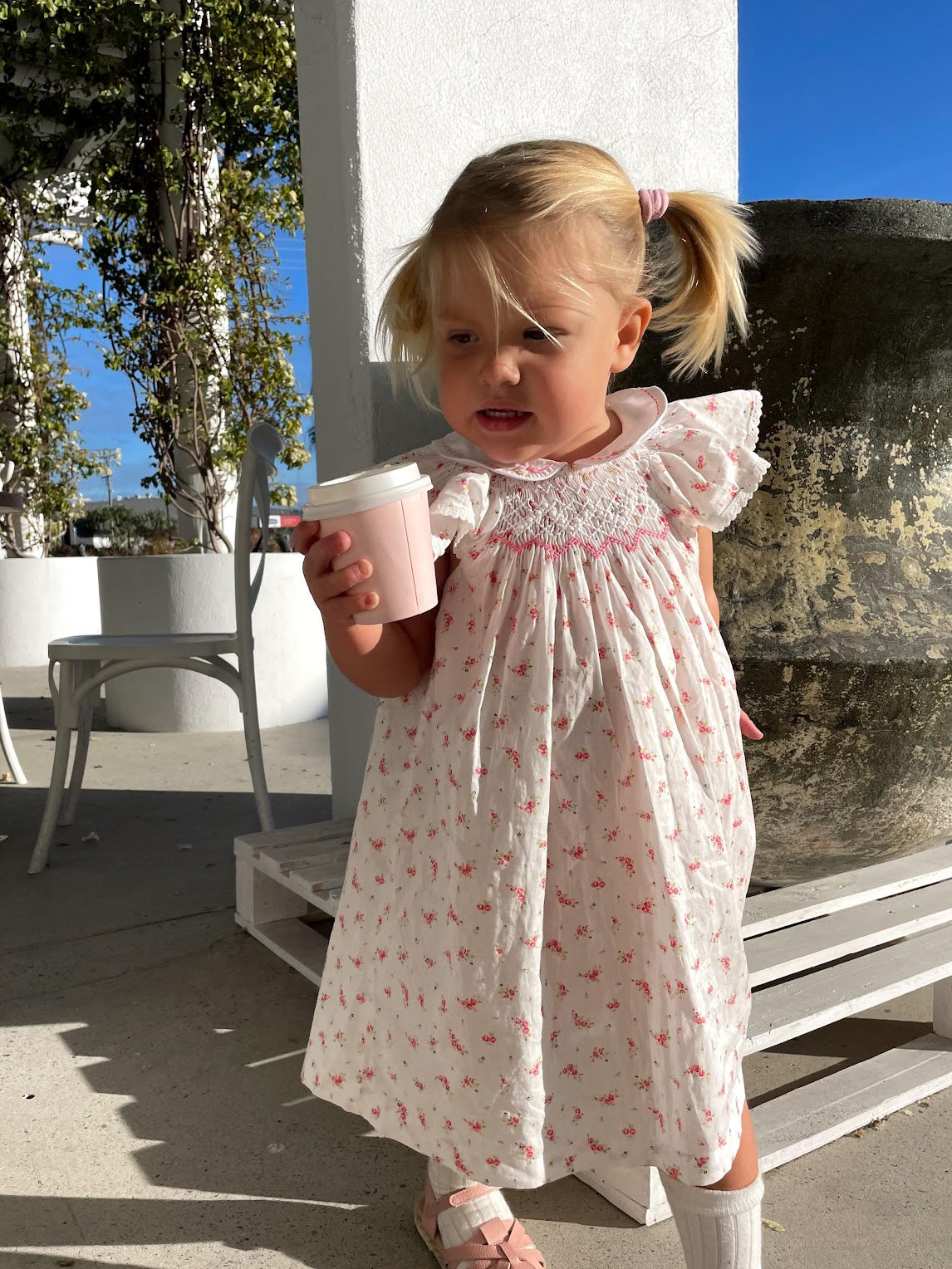 Bishop Smocked Dress with Fluttery Sleeves