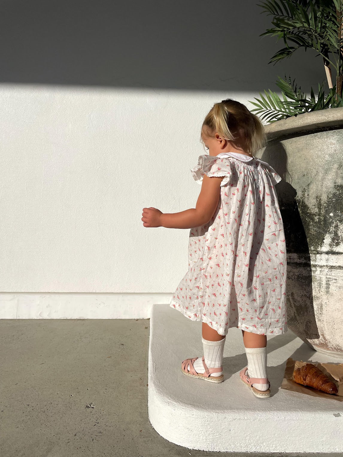 Bishop Smocked Dress with Fluttery Sleeves