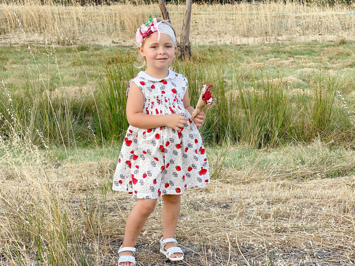 Strawberry Smocked Dress