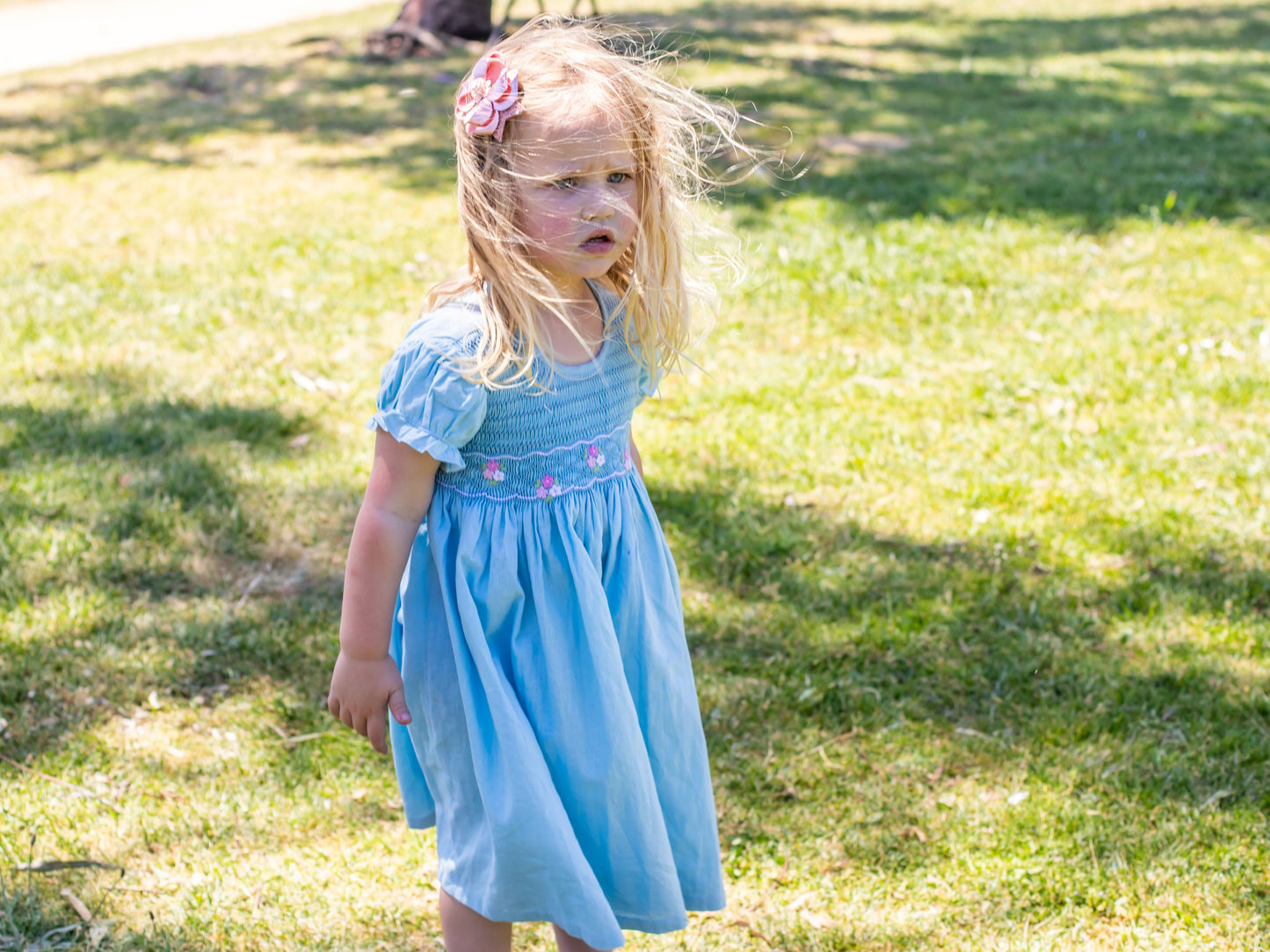 Blue sky classic smocked dress.