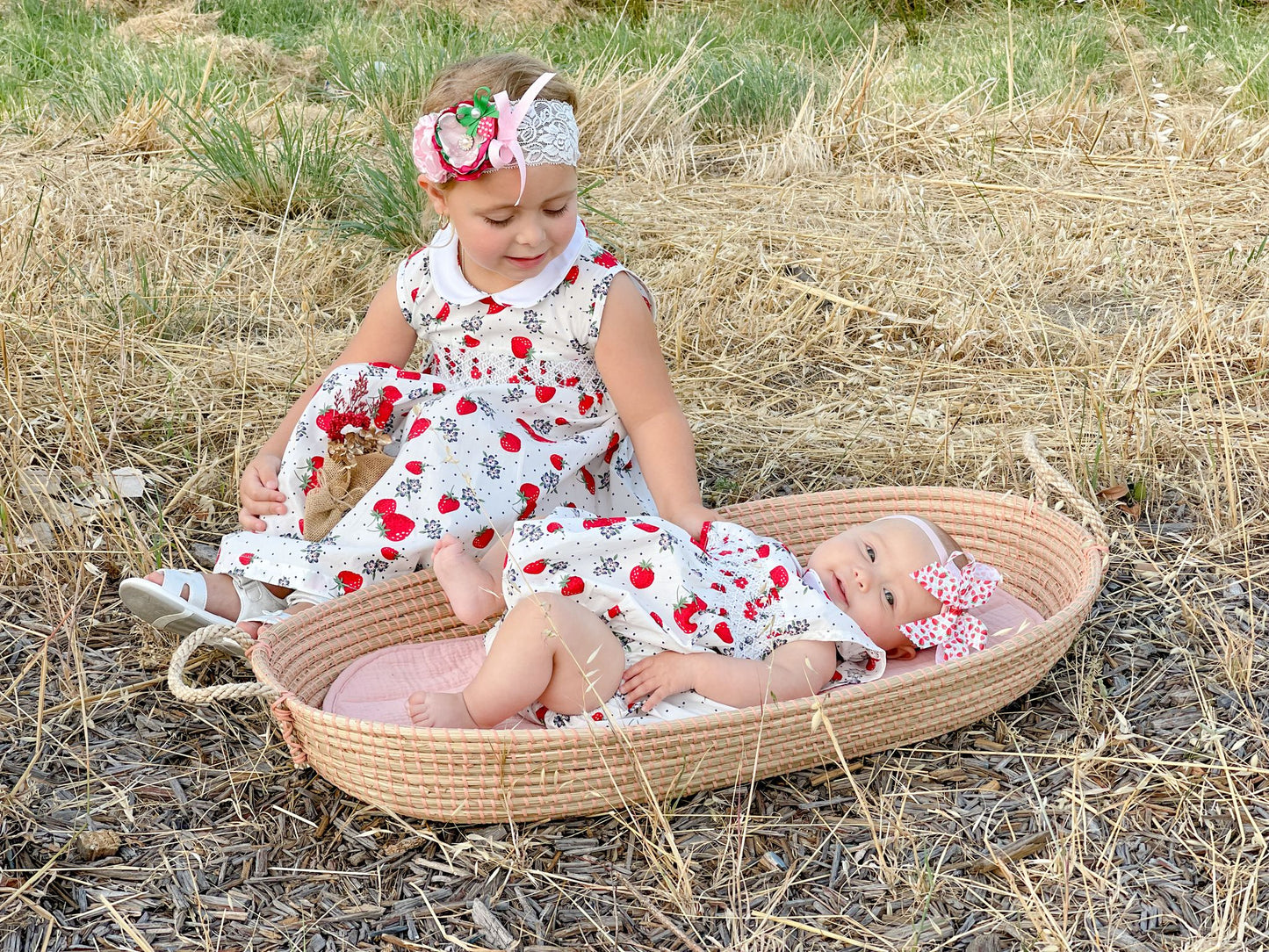 Strawberry Smocked Dress