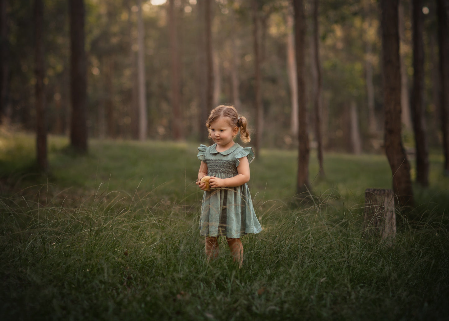 Light Green Linen Smocked Dress