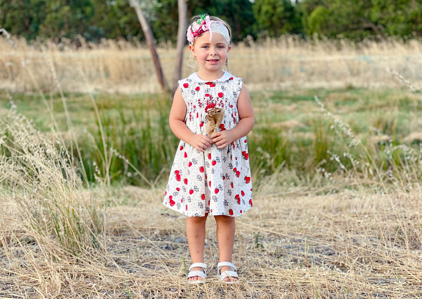 Strawberry Smocked Dress