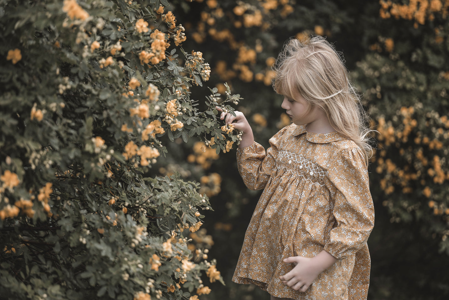 Long Sleeves Autumn Smocked Top.