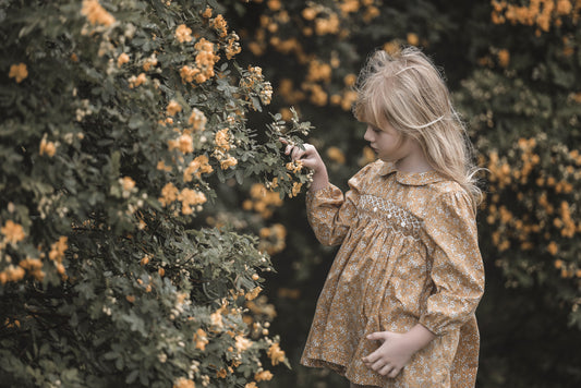 Long Sleeves Autumn Smocked Top.