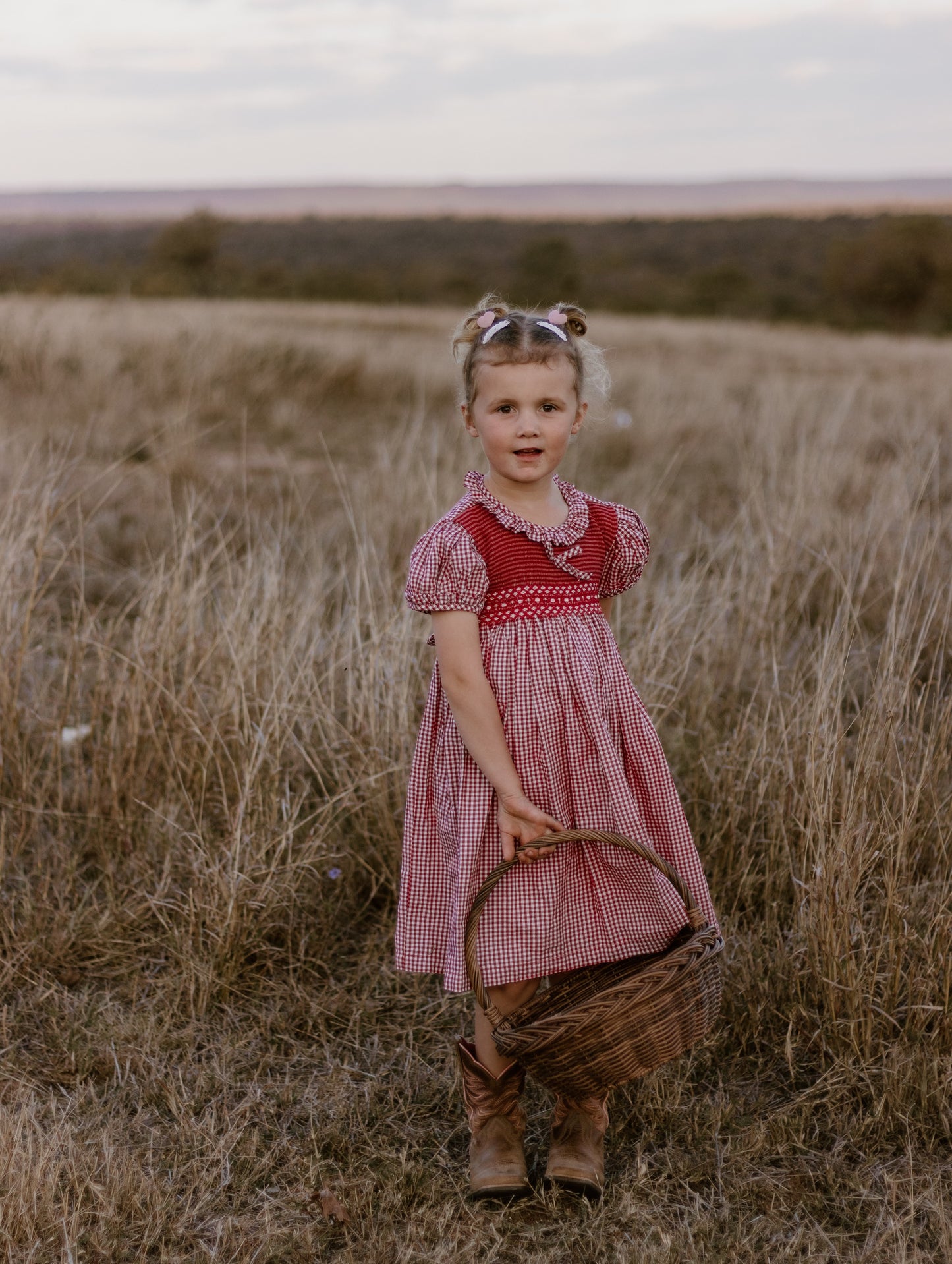 Red Gingham Smocked Dress