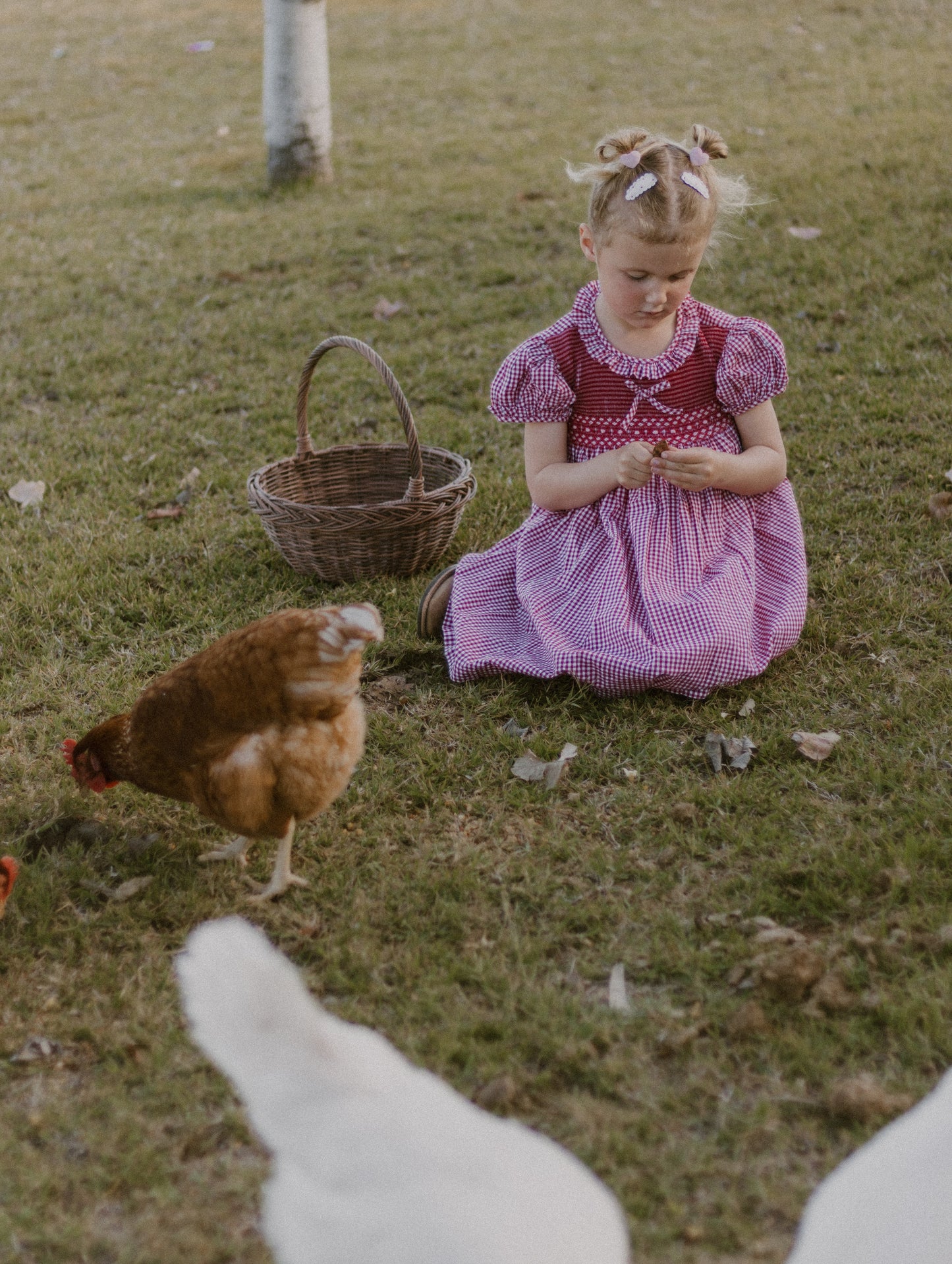 Red Gingham Smocked Dress