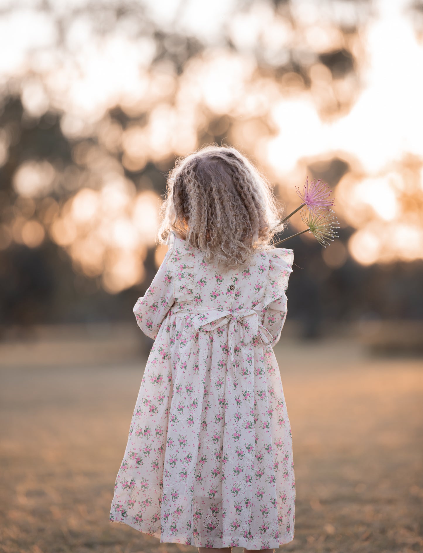 Rosy Blush Smocked Dress