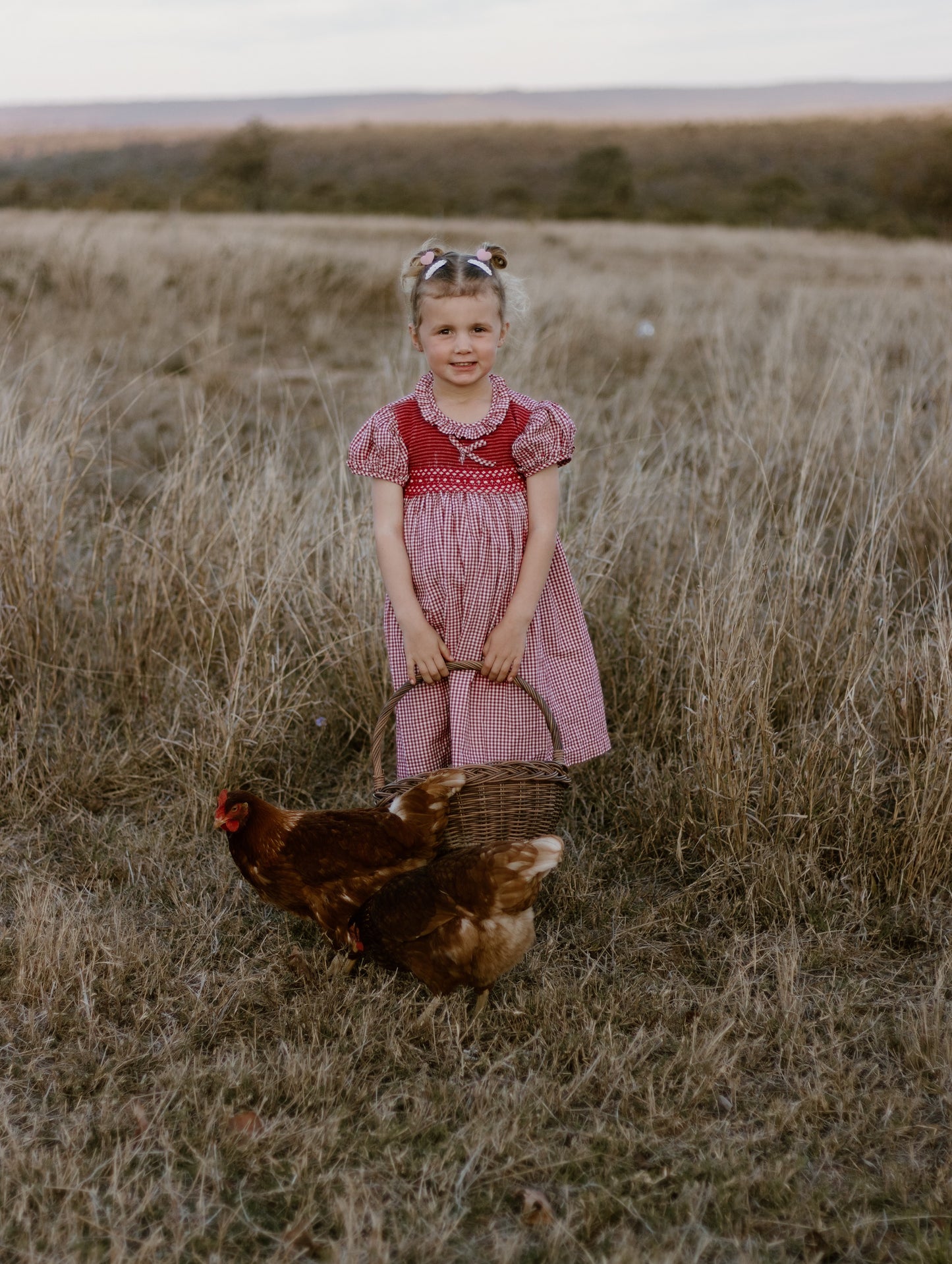 Red Gingham Smocked Dress