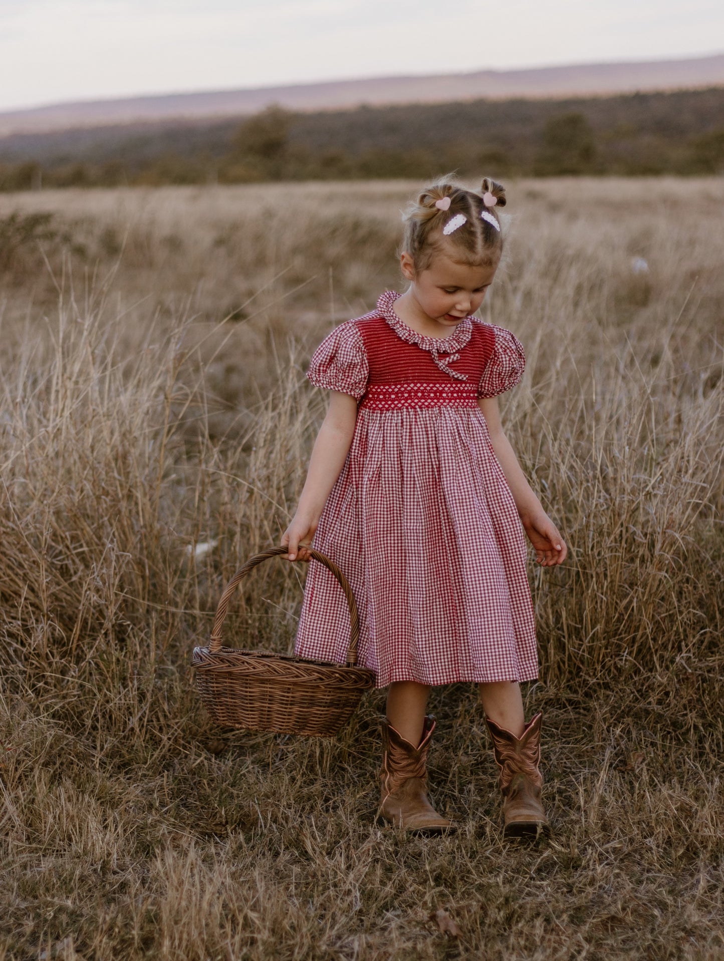Red Gingham Smocked Dress