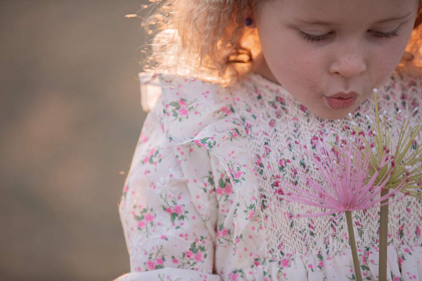 Rosy Blush Smocked Dress