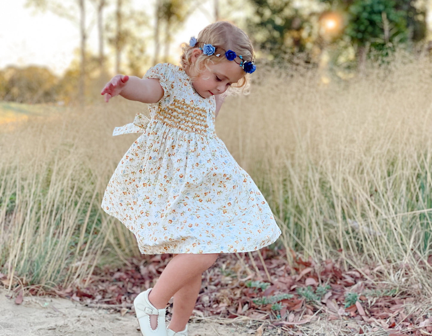 Autumn Brown Smocked Dress